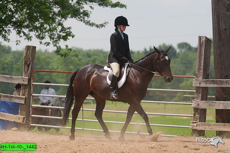4H-1st-10-_1442.jpg