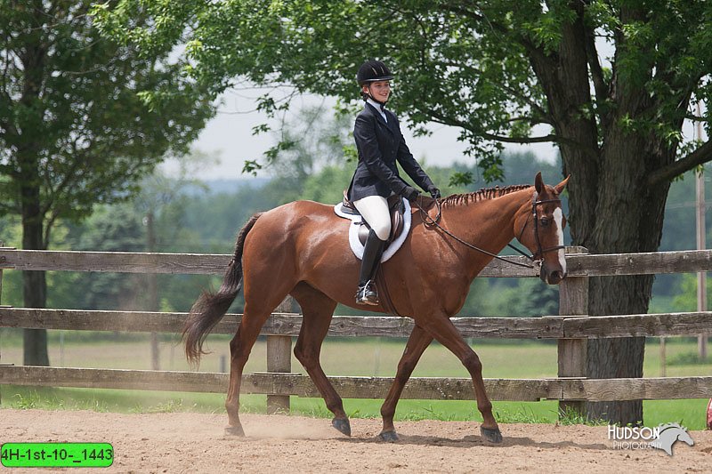 4H-1st-10-_1443.jpg