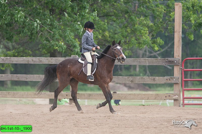 4H-1st-10-_1900.jpg