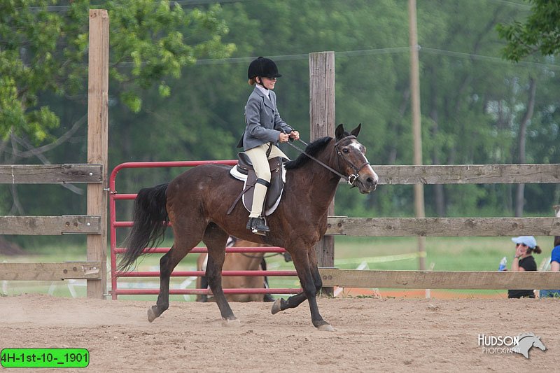 4H-1st-10-_1901.jpg