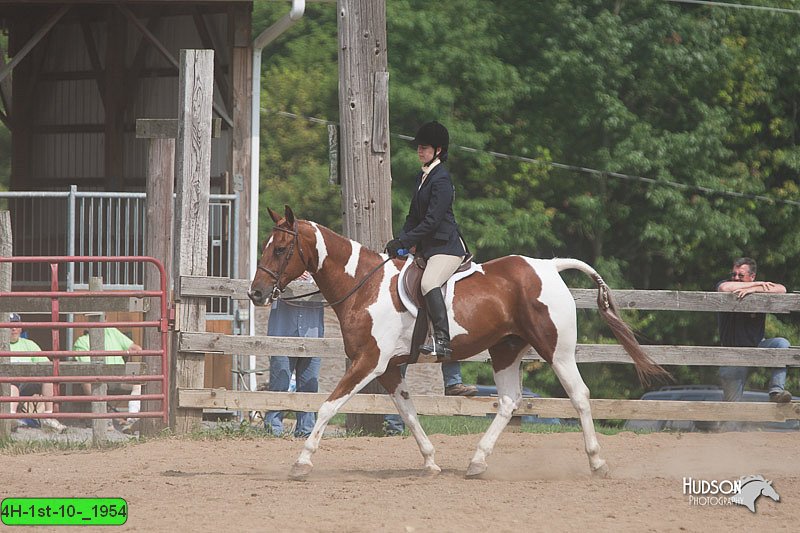 4H-1st-10-_1954.jpg