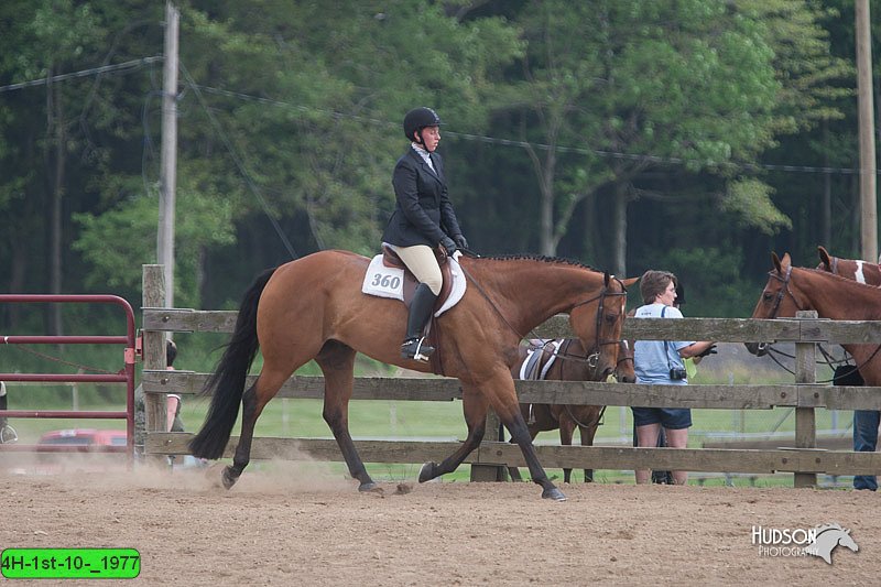 4H-1st-10-_1977.jpg