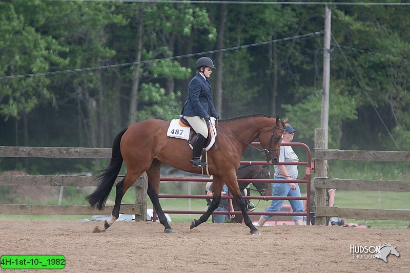 4H-1st-10-_1982.jpg