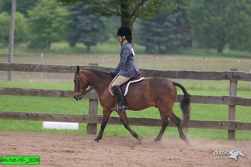 4H-1st-10-_2036.jpg