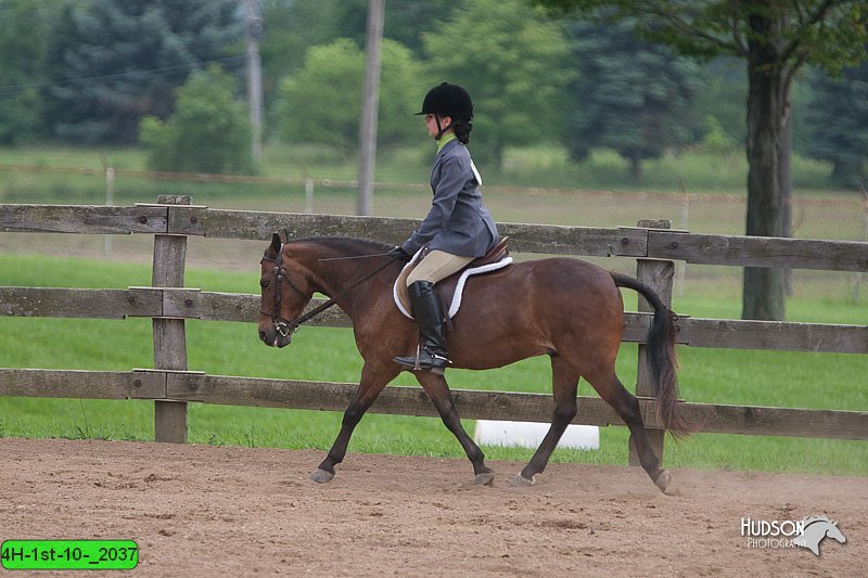 4H-1st-10-_2037.jpg