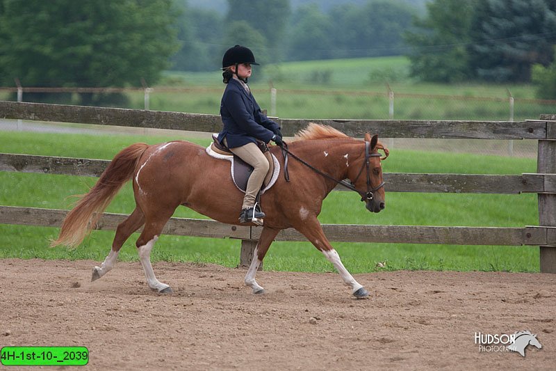 4H-1st-10-_2039.jpg