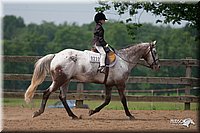 4H-1st-10-_1286.jpg