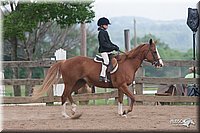 4H-1st-10-_1899.jpg