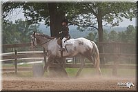 4H-1st-10-_1920.jpg