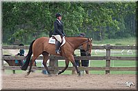 4H-1st-10-_1979.jpg