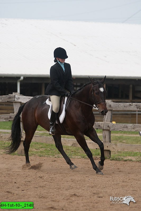 4H-1st-10-_2148.jpg