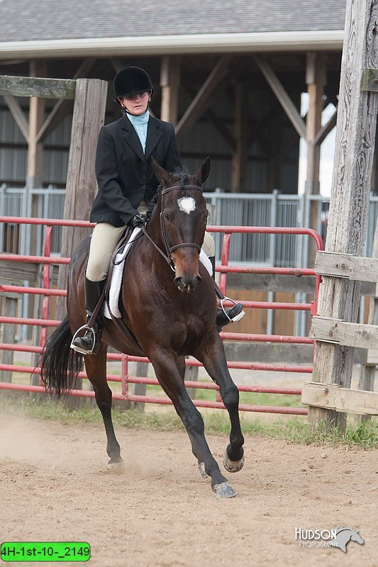 4H-1st-10-_2149.jpg
