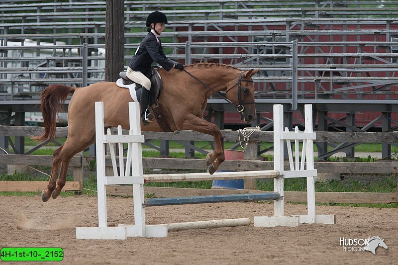 4H-1st-10-_2152.jpg