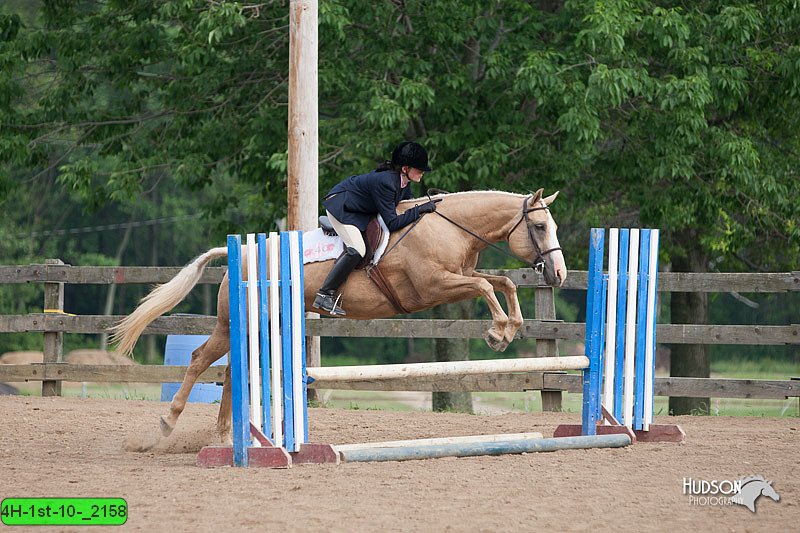 4H-1st-10-_2158.jpg