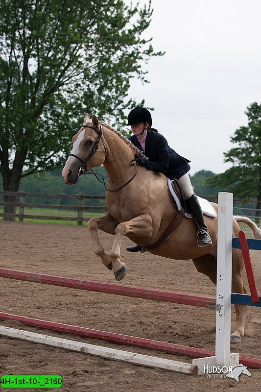 4H-1st-10-_2160.jpg