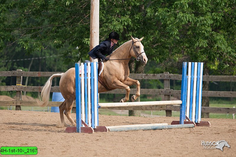 4H-1st-10-_2167.jpg
