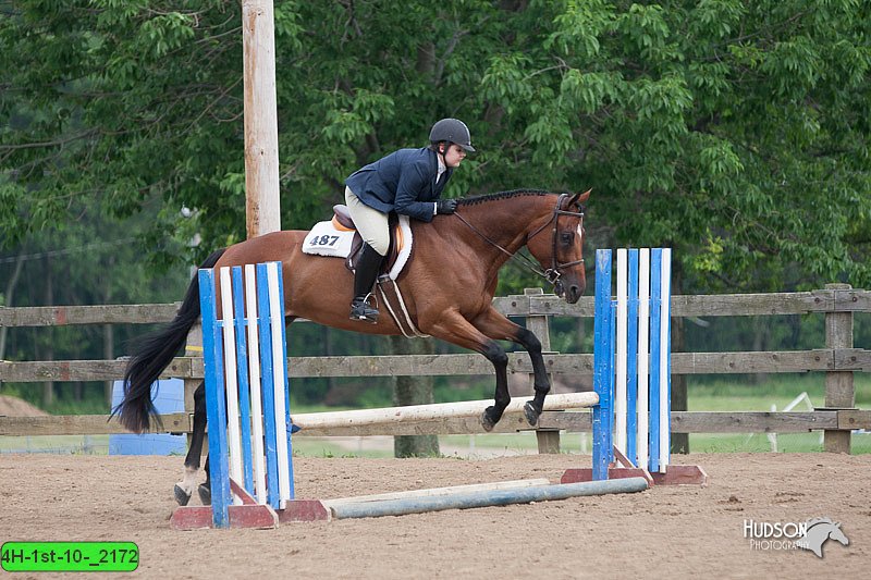 4H-1st-10-_2172.jpg