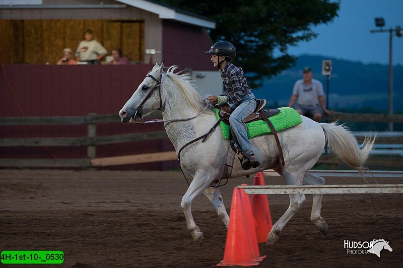 4H-1st-10-_0530.jpg