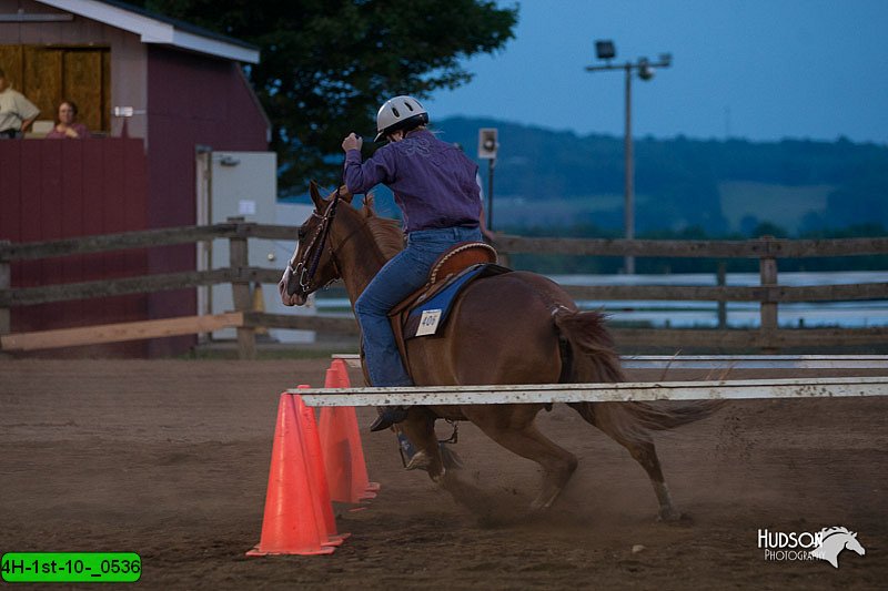 4H-1st-10-_0536.jpg