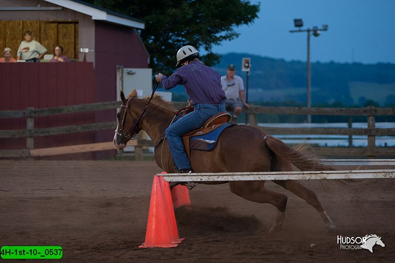 4H-1st-10-_0537.jpg