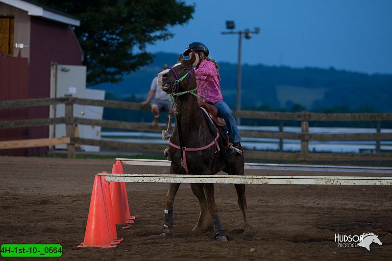 4H-1st-10-_0564.jpg