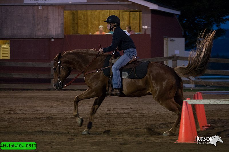 4H-1st-10-_0610.jpg