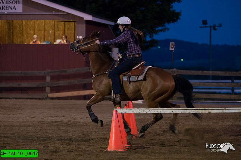 4H-1st-10-_0617.jpg