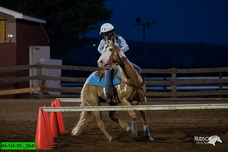4H-1st-10-_0645.jpg