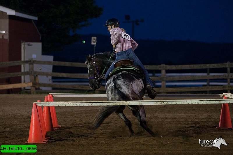 4H-1st-10-_0656.jpg