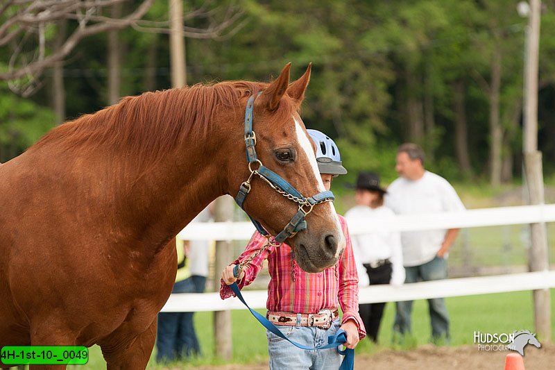 4H-1st-10-_0049.jpg