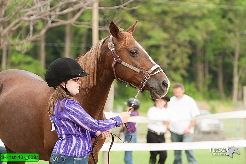 4H-1st-10-_0084.jpg