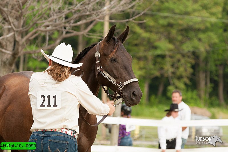 4H-1st-10-_0090.jpg