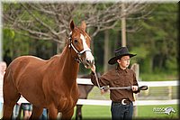 4H-1st-10-_0045.jpg