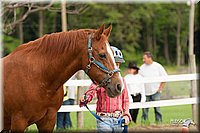 4H-1st-10-_0049.jpg