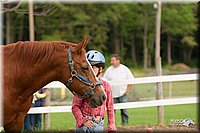 4H-1st-10-_0059.jpg