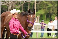 4H-1st-10-_0081.jpg