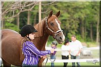 4H-1st-10-_0087.jpg