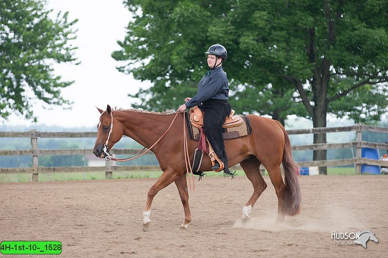 4H-1st-10-_1528.jpg