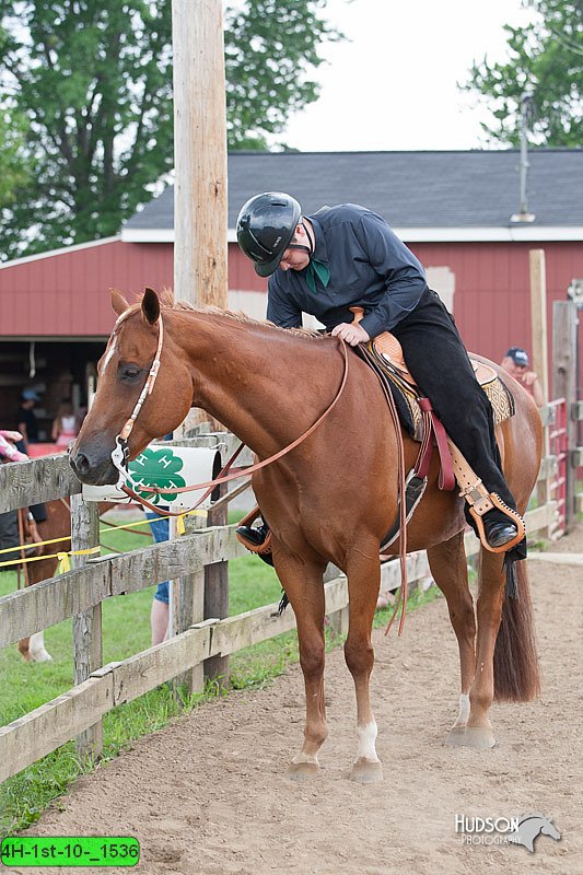 4H-1st-10-_1536.jpg