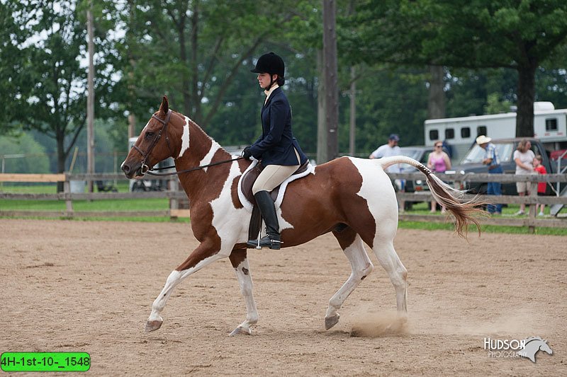 4H-1st-10-_1548.jpg