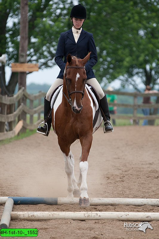 4H-1st-10-_1552.jpg