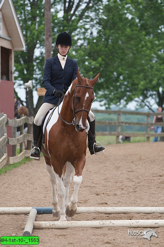 4H-1st-10-_1553.jpg