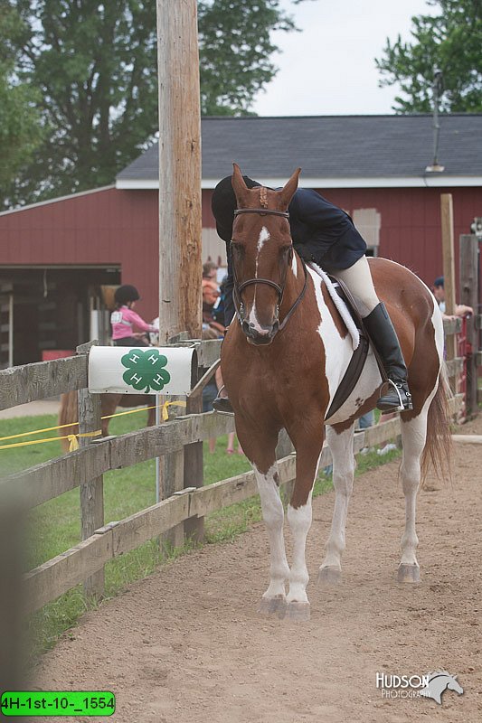 4H-1st-10-_1554.jpg