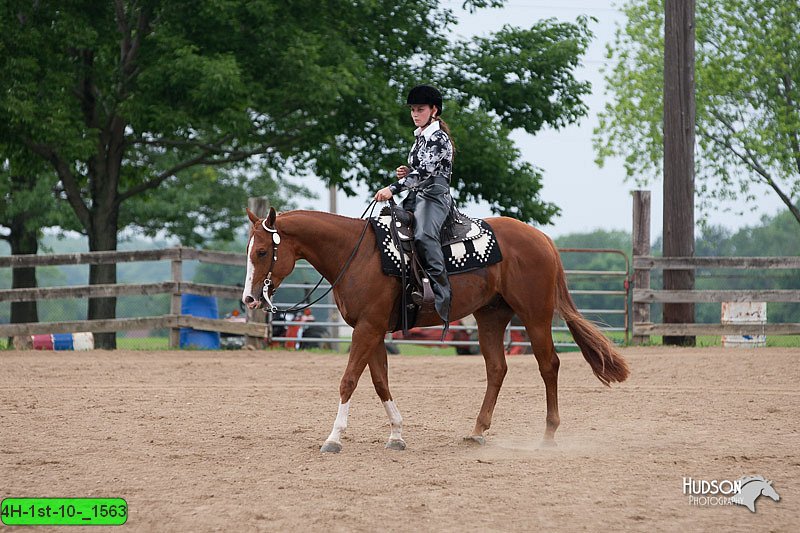 4H-1st-10-_1563.jpg