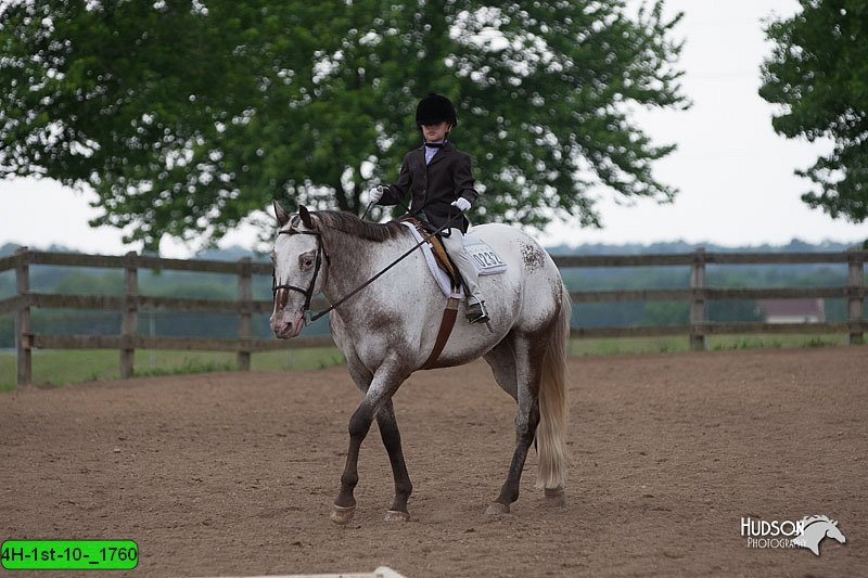 4H-1st-10-_1760.jpg