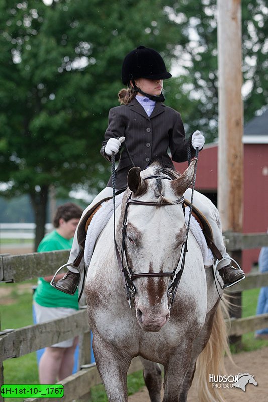 4H-1st-10-_1767.jpg