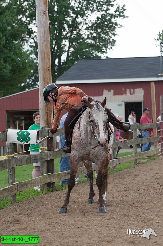 4H-1st-10-_1777.jpg