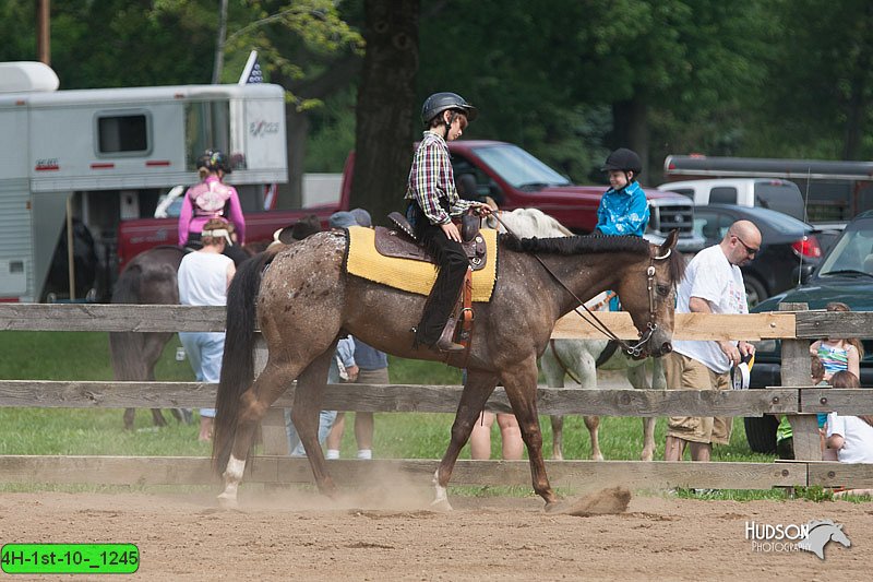 4H-1st-10-_1245.jpg