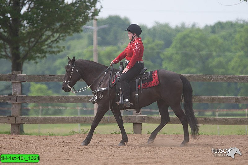 4H-1st-10-_1324.jpg