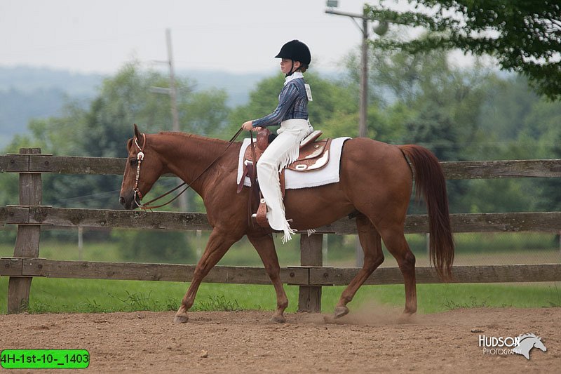 4H-1st-10-_1403.jpg